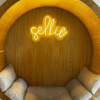 Circular Lounge Pod