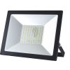 LED Flood Light Driverless