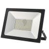 LED Flood Light Driverless