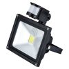 PIR Sensor LED Flood Light