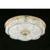 5b4d4a15cd7f4.jpg LED Ceiling Light HD-CLA36W