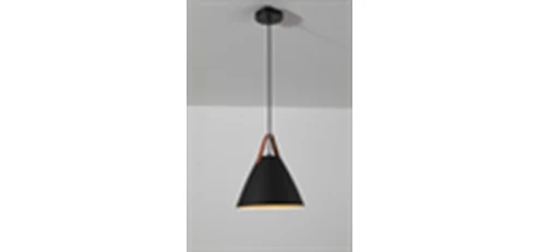 Hello Today 6013 Black Dining LAMP(7488-270 Black)