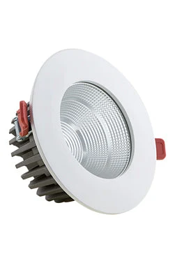 Radiant PR458 Downlight LED 30W