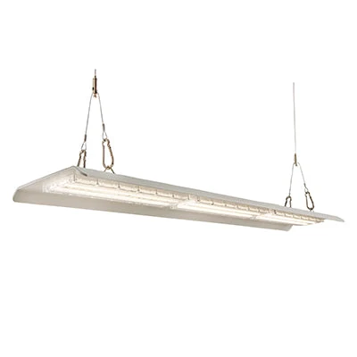 Radiant PR669 Linear Hanging LED Panel
